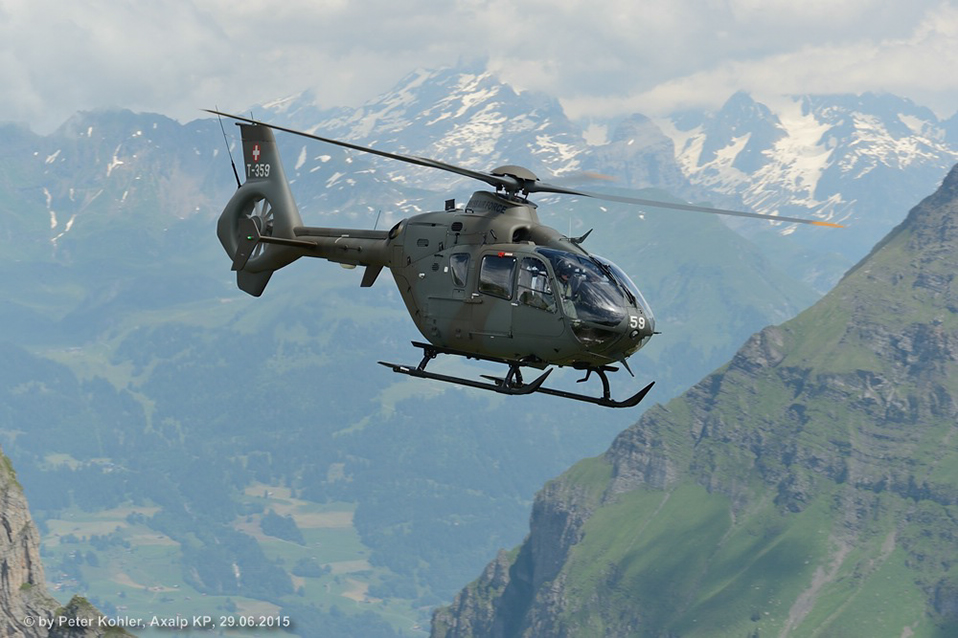 comp_150629_Axalp_Bergfrühling 159-