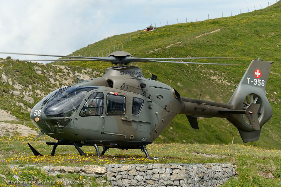 comp_150629_Axalp_Bergfrühling 316-